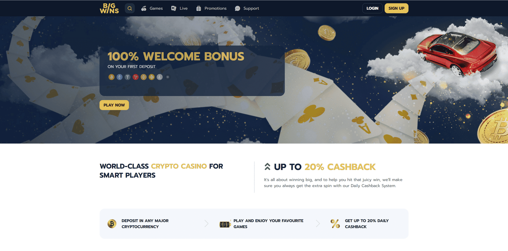 BigWins Promo Codes September 2025 - BigWins Testimonial